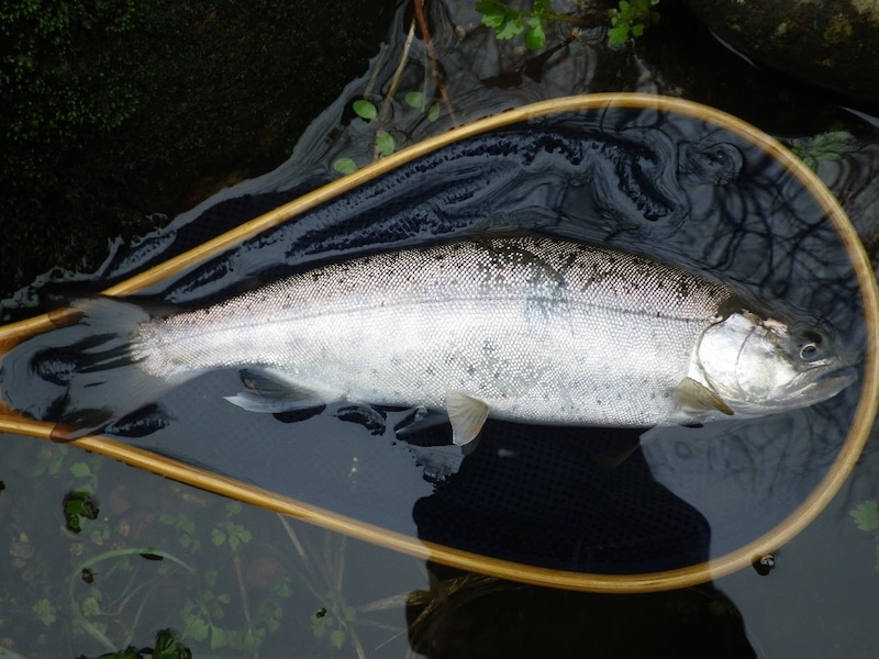健康なビョーキ。